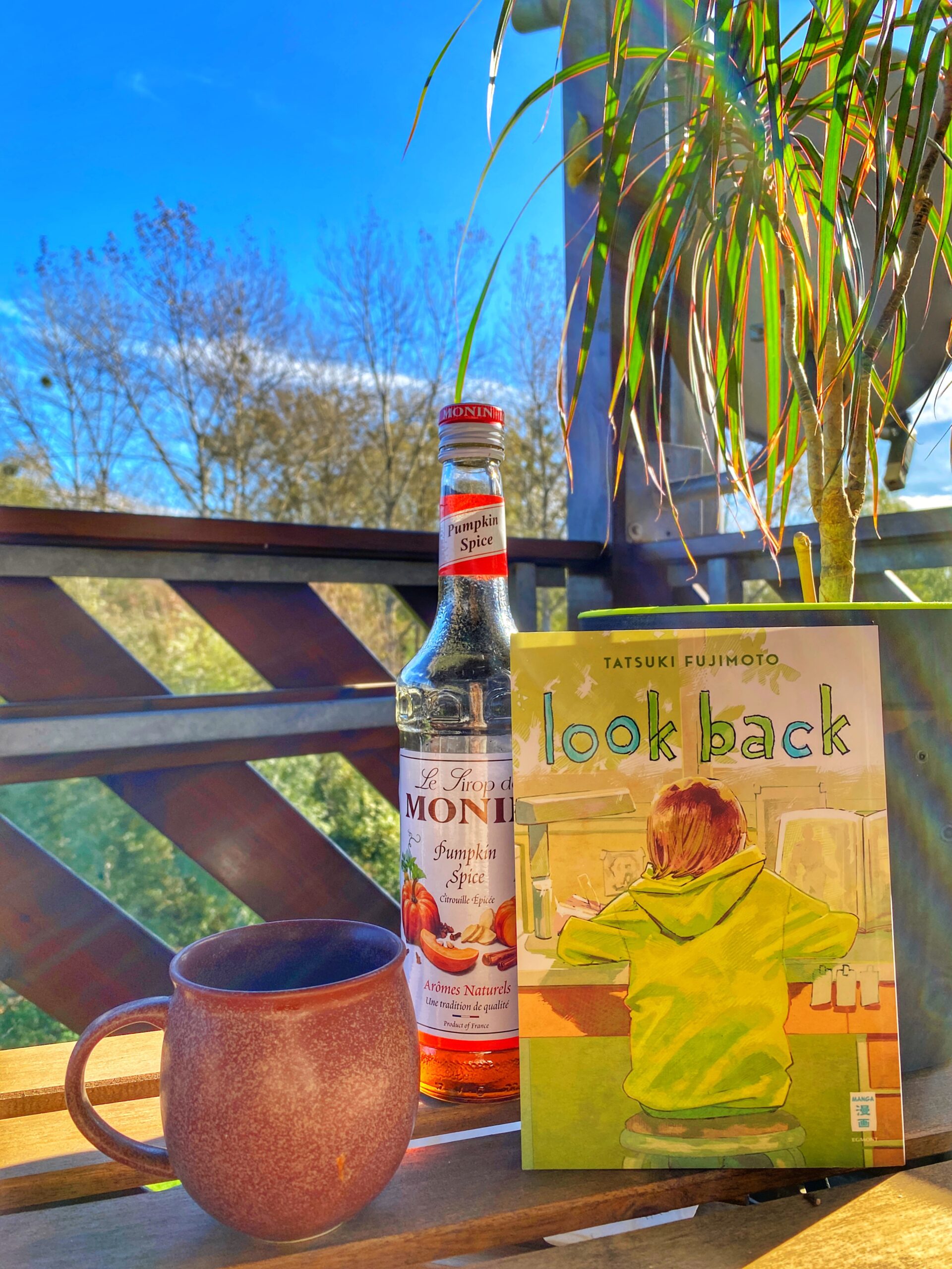 Look Back De Tatsuki Fujimoto Sorbet Kiwi