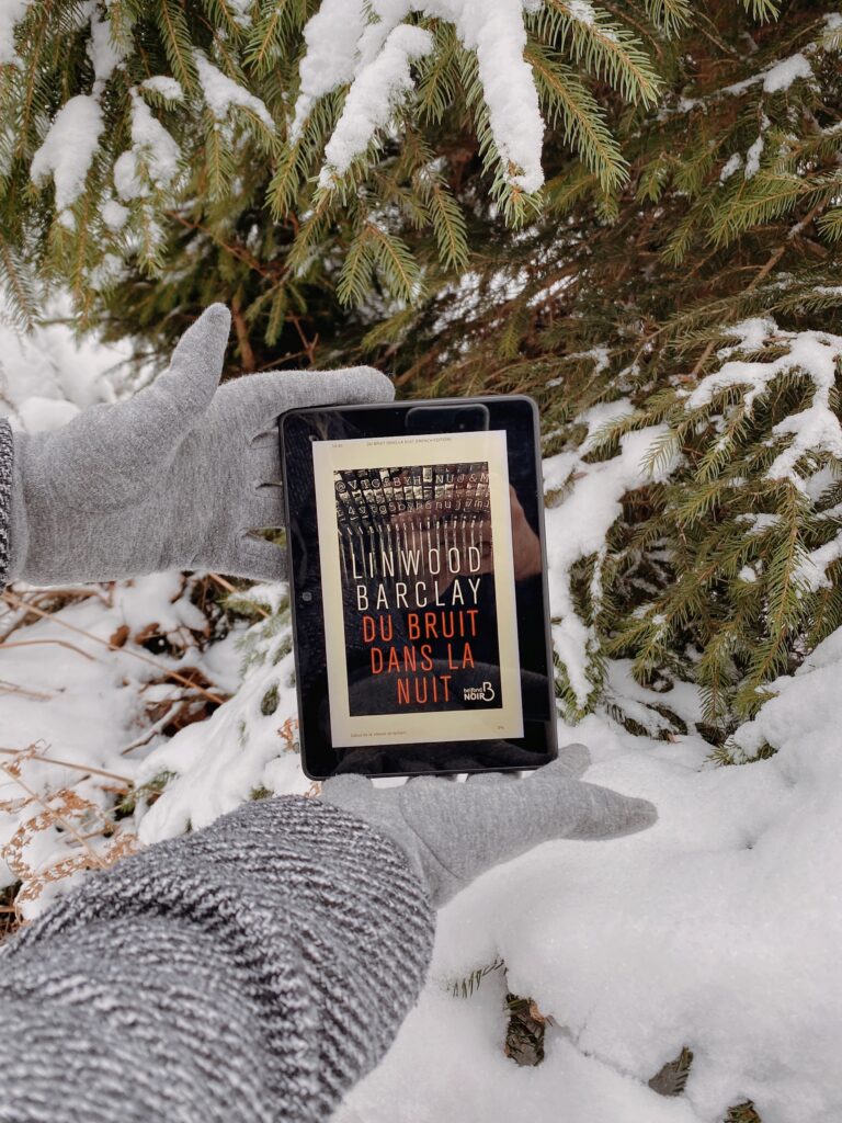 Du bruit dans la nuit Linwood Barclay