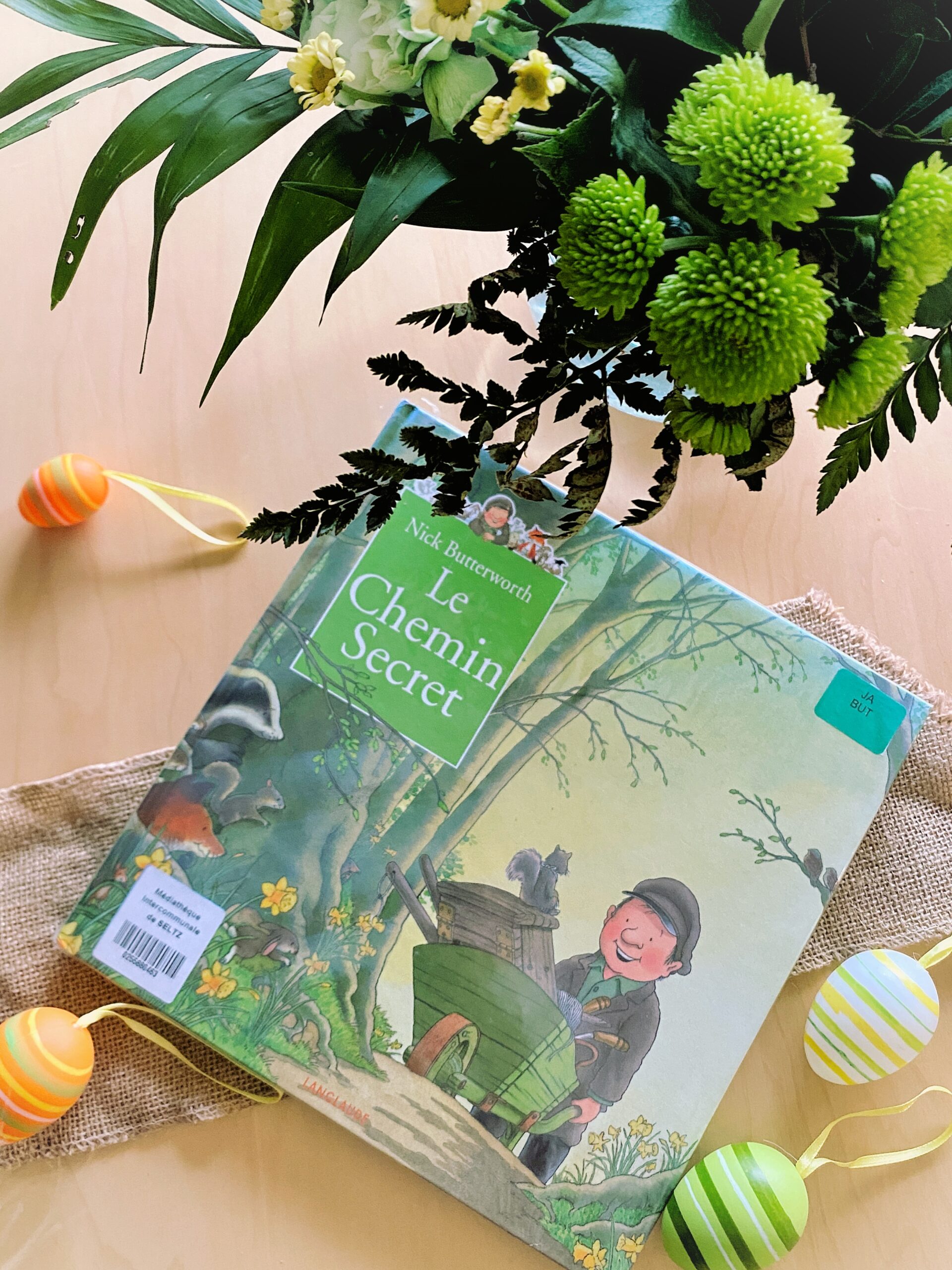 Le chemin secret de Nick Butterworth Sorbet Kiwi