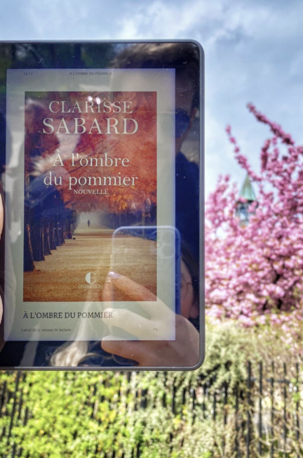 A l'ombre du pommier de Clarisse Sabard