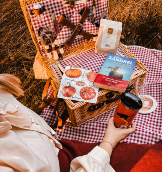 Scène automnale de pique-nique littéraire, avec un panier en osier, un thermos orangé Starbucks et le roman Le jour où Rose a disparu de Julien Sandrel posé sur une nappe à carreaux rouges, dans une lumière dorée de fin de journée.