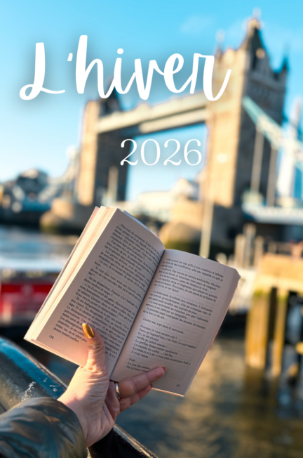 Sous les lumières de Noël – Bilan de Noël 2025