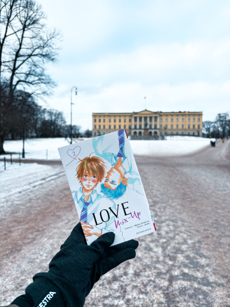 Love Mix-Up, tome 2 tenu dans une main gantée devant le palais royal d’Oslo sous la neige, dans une ambiance hivernale.