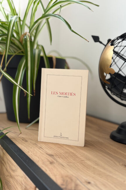 Le livre Les moitiés de Claire Castillon posé sur un meuble en bois à côté d’une plante verte et d’un globe décoratif noir et doré dans une ambiance minimaliste et lumineuse.