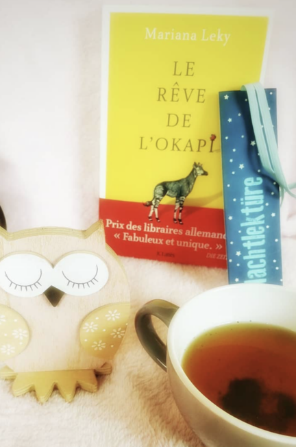 Le roman Le rêve de l'Okapi de Mariana Leky accompagné d'une tasse de thé, d'un marque-page sur lequel est écrit en allemand "Nchtlektüre", et d'une chouette en bois.