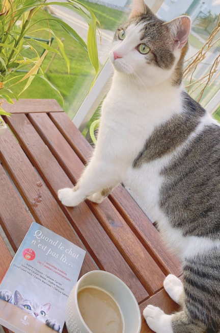 Le recueil Quand le chat n'est pas là posé à côté d'une tasse de café et de mon chat Sammy, installé sur une table dans la véranda.